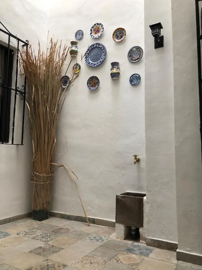 Apartamentos Makao Puerta Del Olivillo Jerez de la Frontera España